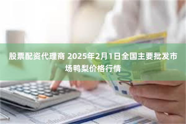 股票配资代理商 2025年2月1日全国主要批发市场鸭梨价格行情