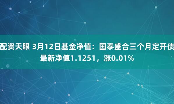 配资天眼 3月12日基金净值：国泰盛合三个月定开债最新净值1.1251，涨0.01%